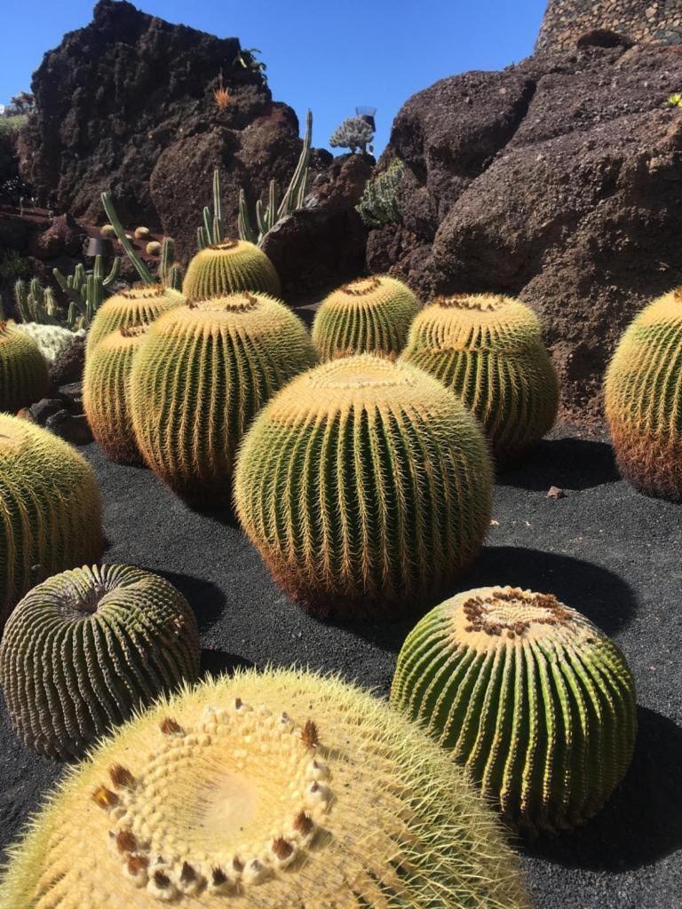 Buenavista Lejlighed Puerto del Carmen  Eksteriør billede